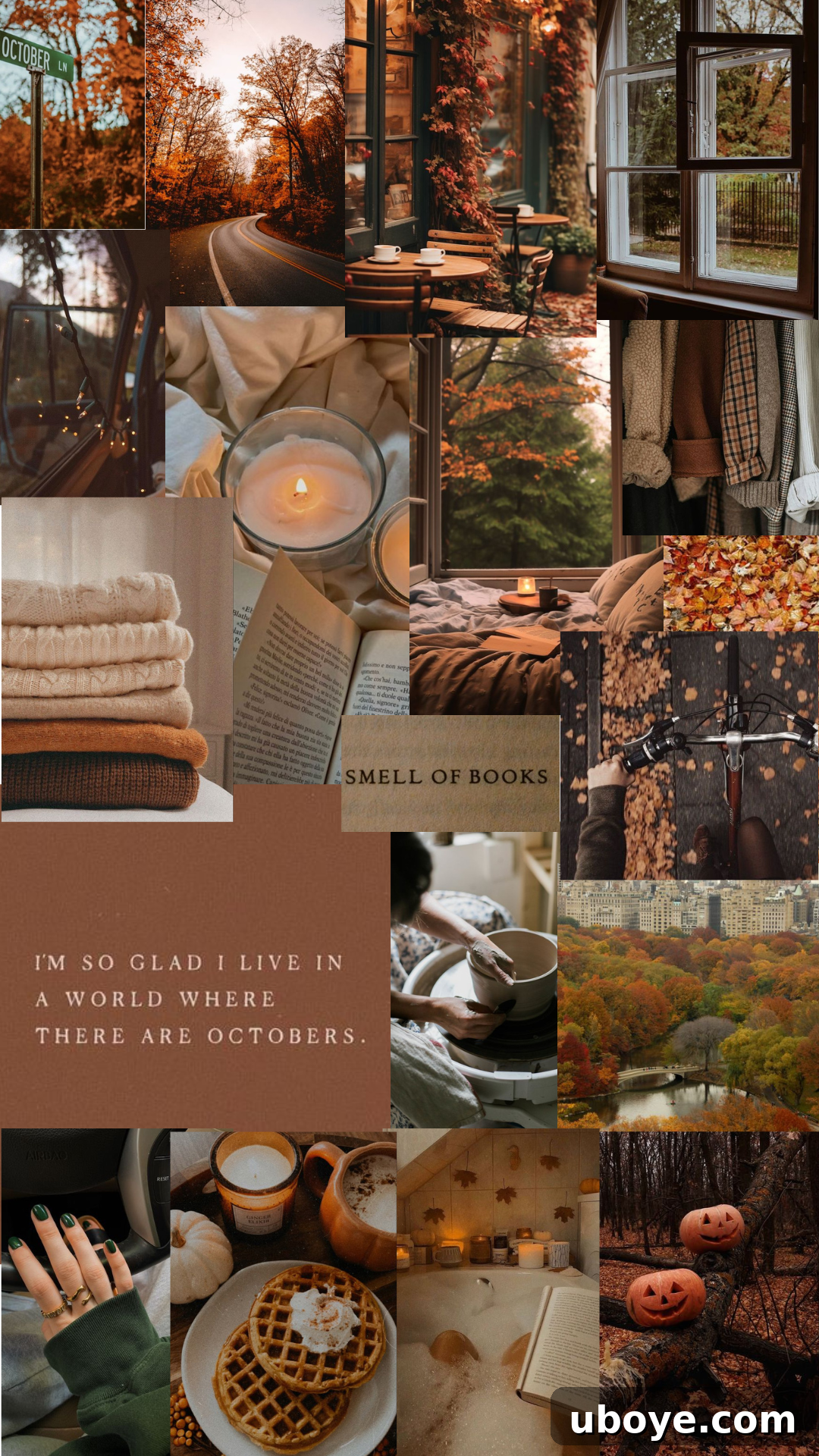 featured 8707