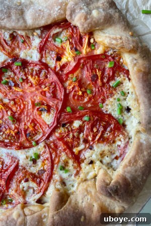 A freshly baked Vegan Tomato Galette, golden and bubbly