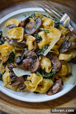 Savory Balsamic Mushroom Tortellini 12 Finished tortellini mixed with the mushroom and kale sauce, ready to serve.