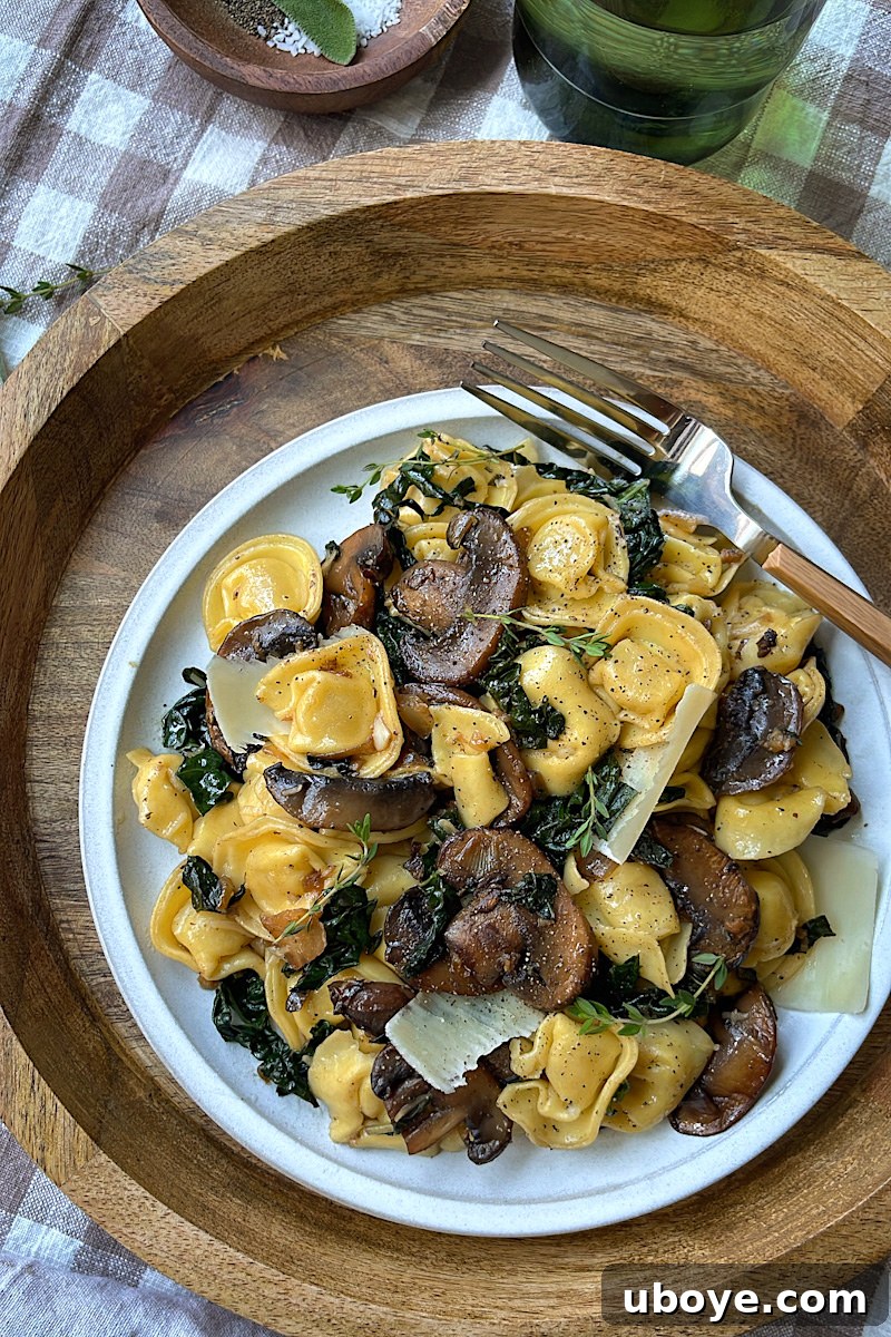 Savory Balsamic Mushroom Tortellini 3 A serving of Balsamic Mushroom Tortellini on a plate with scattered fresh herbs.