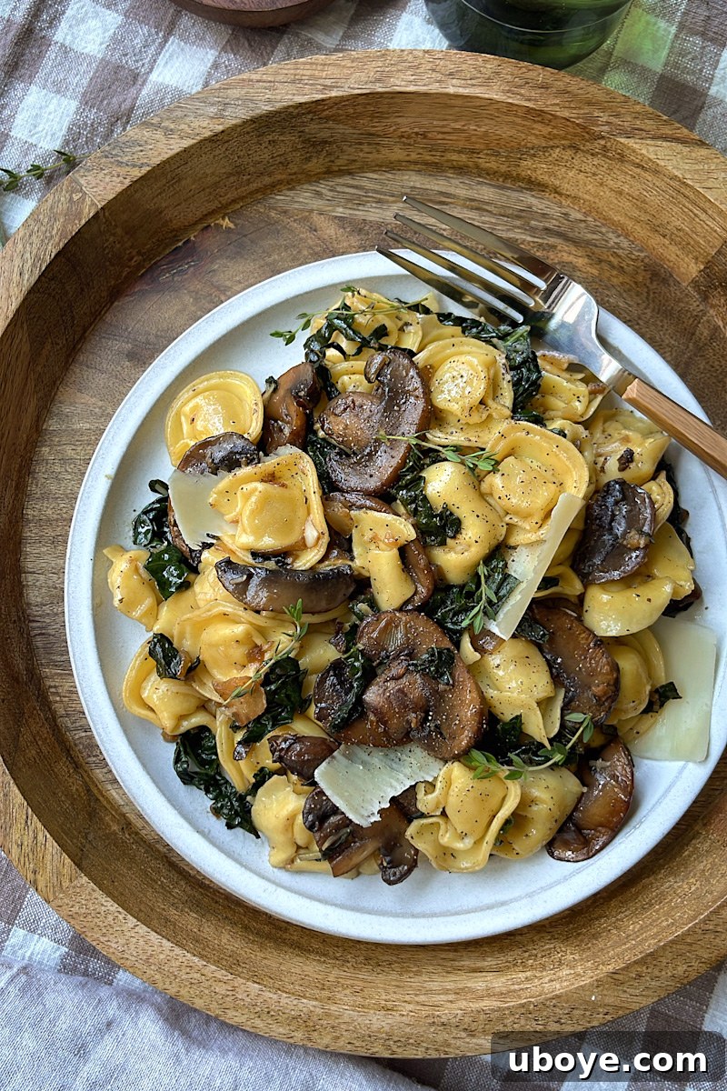 Savory Balsamic Mushroom Tortellini 8 Finished Balsamic Mushroom Tortellini served in a bowl, ready to eat.
