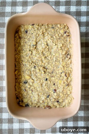 All the dry and wet ingredients for baked oatmeal combined in a large mixing bowl, ready for the final additions