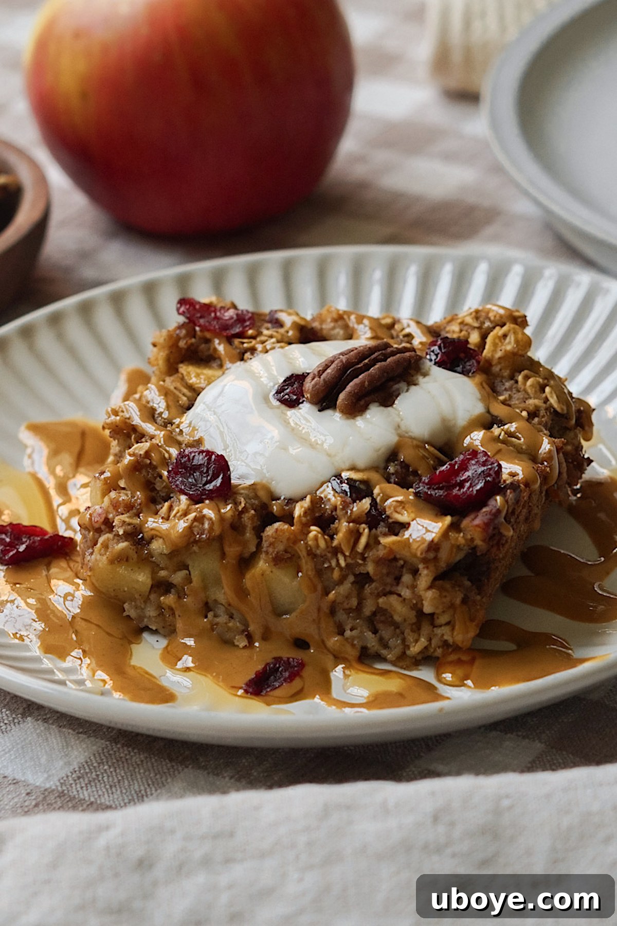 Baked Apple Cinnamon Oats 3 Close-up shot of baked oatmeal, showcasing its inviting texture and generously topped with vibrant dried cranberries and crunchy pecans