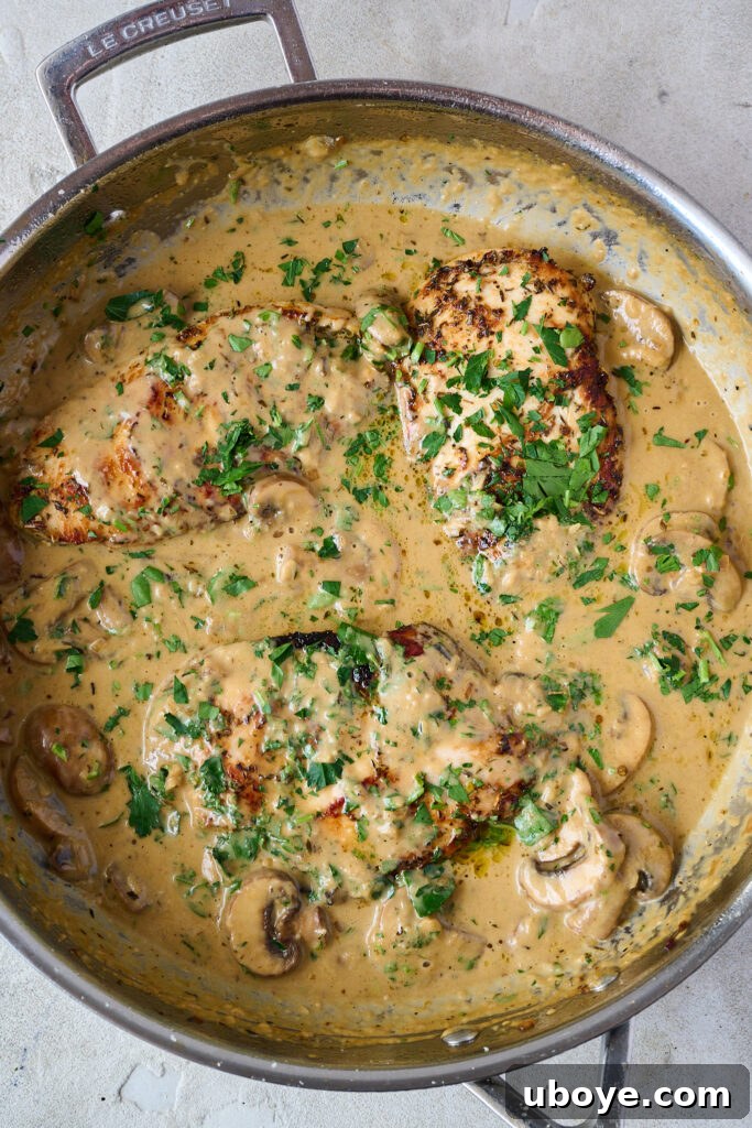 Chicken in pan with creamy mushroom sauce and finished with sprinkling of fresh parsley