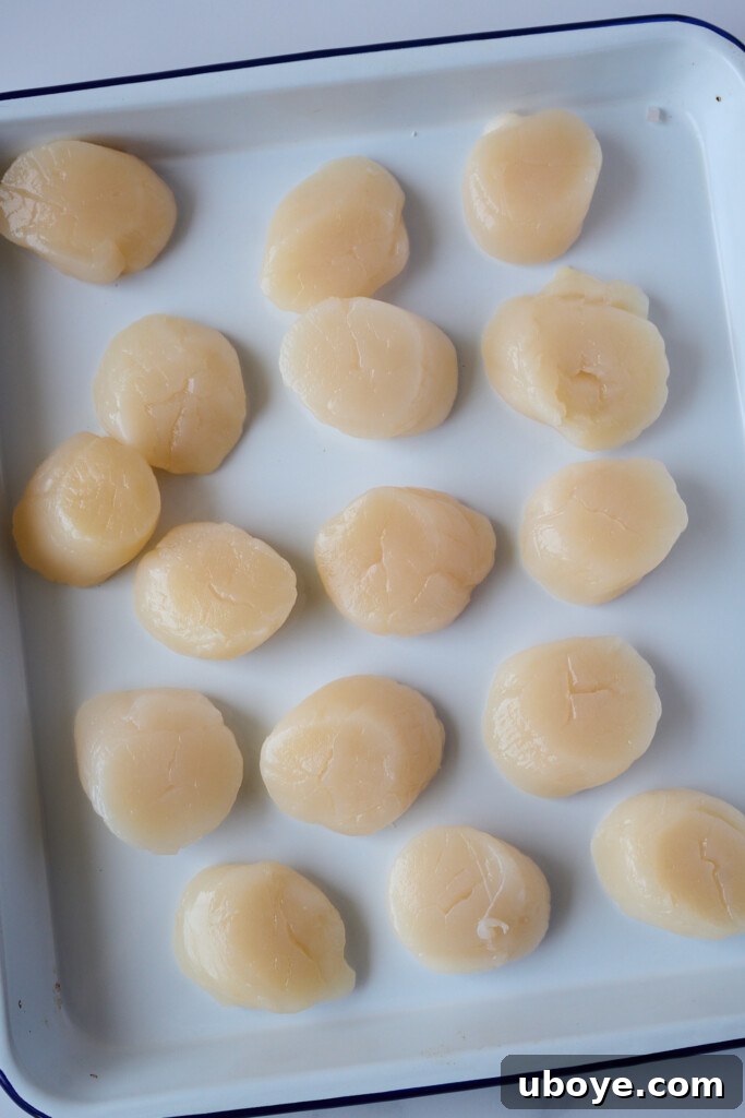 Brown Butter Scallop Pasta with Blistered Cherry Tomatoes 4 Raw scallops being patted dry with paper towels.
