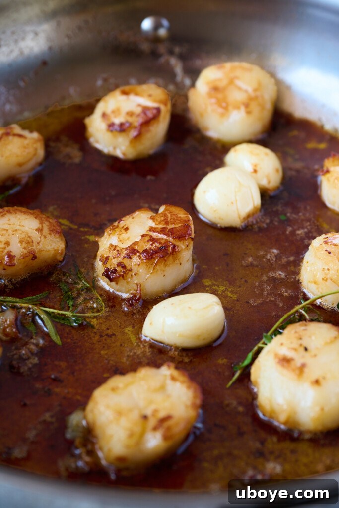 Brown Butter Scallop Pasta with Blistered Cherry Tomatoes 5 Scallops searing in a pan with butter, garlic, and herbs.