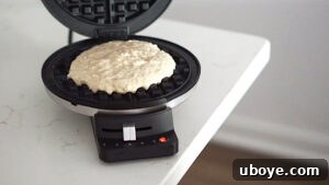 Effortless Plant-Based Waffle Perfection 11 Vegan waffle batter poured into a hot waffle iron