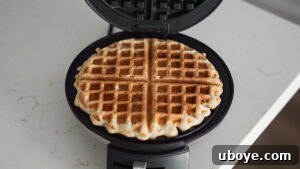 Effortless Plant-Based Waffle Perfection 12 A perfectly golden vegan waffle being removed from the iron