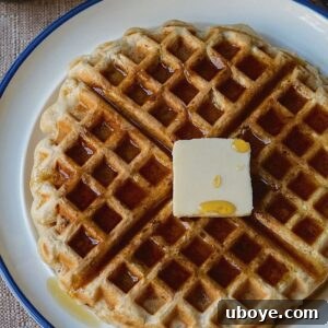 Effortless Plant-Based Waffle Perfection 9 Easy Vegan Waffle Recipe with fresh berries and maple syrup