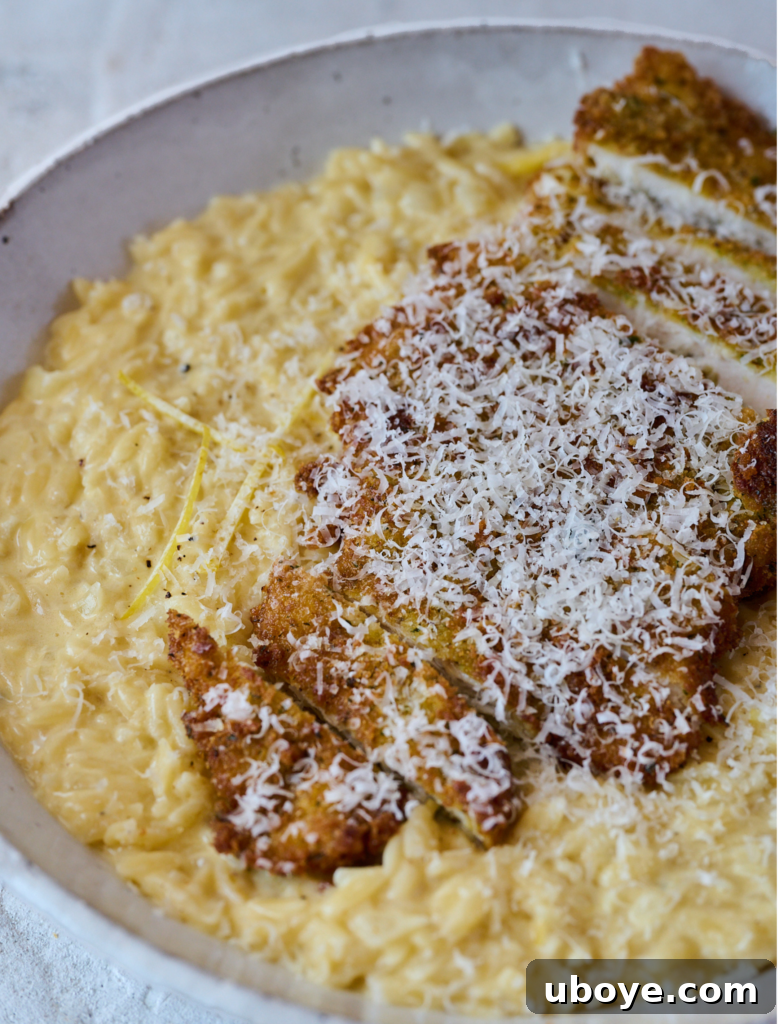 Zesty Lemon Chicken Orzo 11 The stunning finished lemon chicken orzo dish artfully arranged on a plate, garnished with fresh herbs and parmesan cheese.