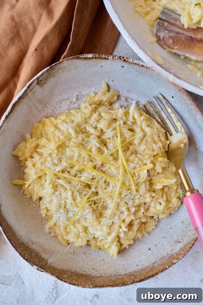 Zesty Lemon Chicken Orzo 12 A brown ceramic bowl filled with creamy lemon orzo, accompanied by a pink fork resting on the side. The dish is beautifully garnished with extra lemon zest and grated Parmesan cheese, highlighting its fresh and indulgent appeal.