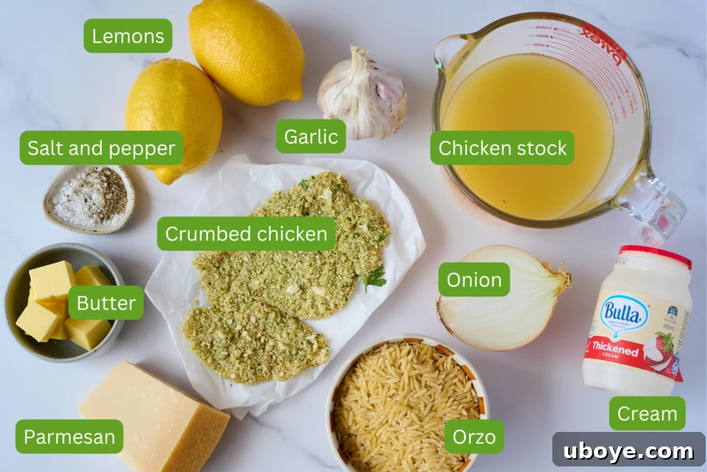 Zesty Lemon Chicken Orzo 3 A vibrant flat lay image showcasing all the fresh ingredients required for the lemon chicken orzo recipe. Key ingredients visible include bright yellow lemons, cloves of garlic, chicken stock, salt and pepper, a halved onion, heavy cream, uncooked orzo pasta, grated parmesan cheese, and a block of butter, alongside a serving of pre-prepared crispy crumbed chicken.