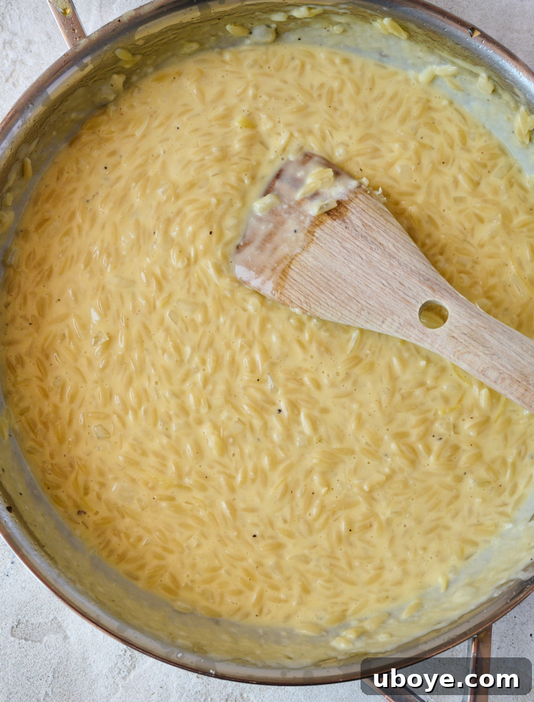 Zesty Lemon Chicken Orzo 10 Rich heavy cream and grated Parmesan cheese being stirred into the perfectly cooked orzo, creating a luscious sauce.
