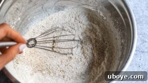 Ultimate Vegan Mix-In Cookies 9 A whisk blending dry ingredients in a mixing bowl for vegan cookies, showing flour and oats.