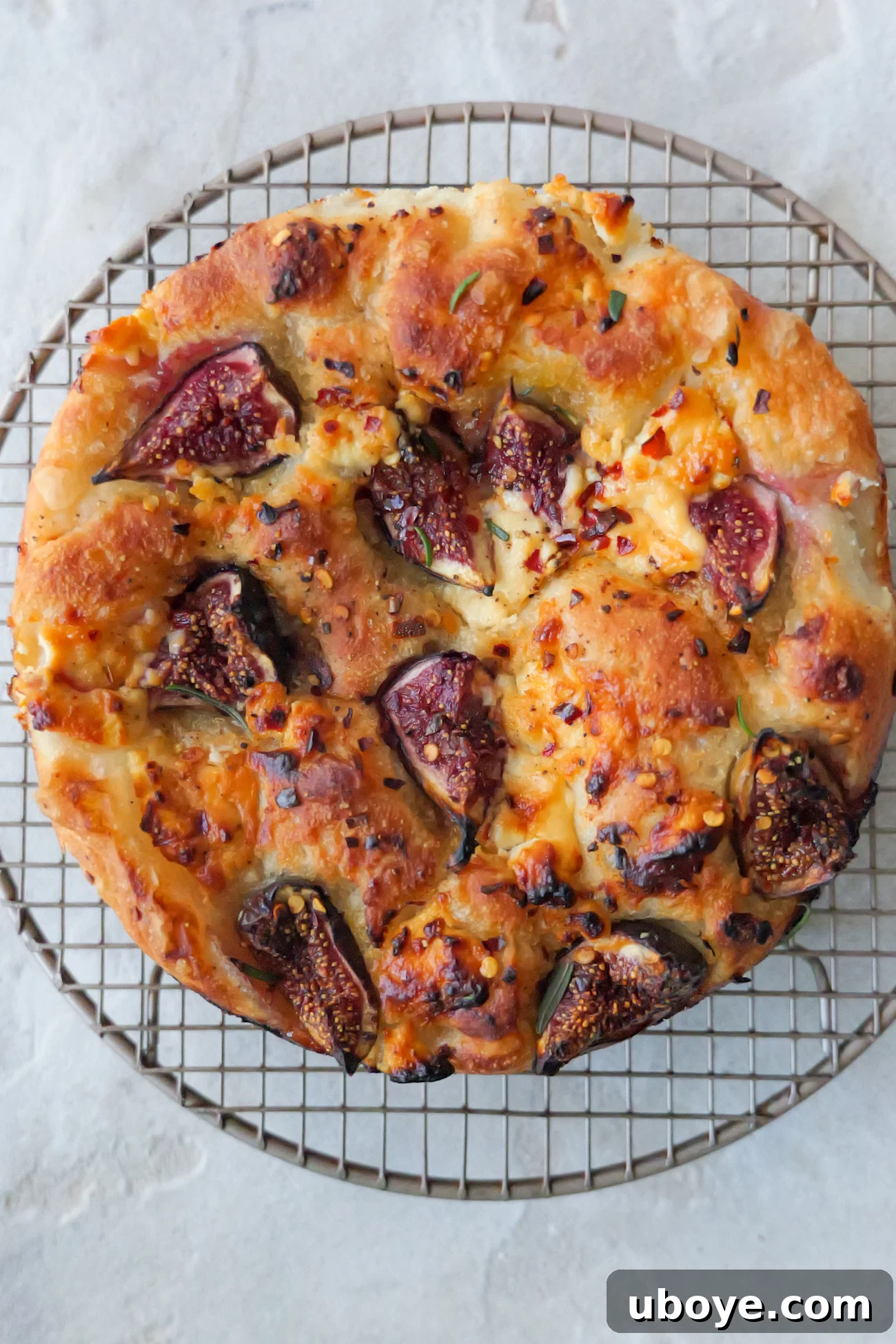 Freshly baked fig and goat cheese focaccia resting on a round metal cooling rack, highlighting its golden crust and inviting toppings.