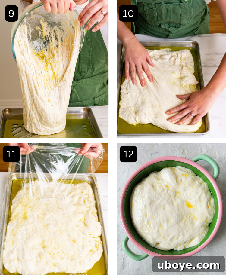 A four-panel image sequence showing the second proofing stage of focaccia dough: transferring dough to a baking tray, gently stretching it, covering with plastic wrap, and a final image of the dough after it has risen significantly.