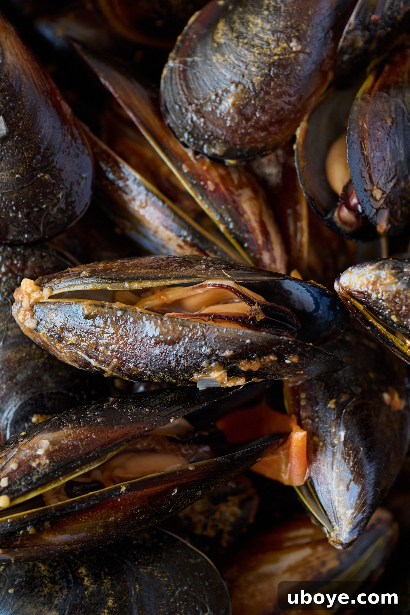 Close up image of mussels that have been steamed and are open