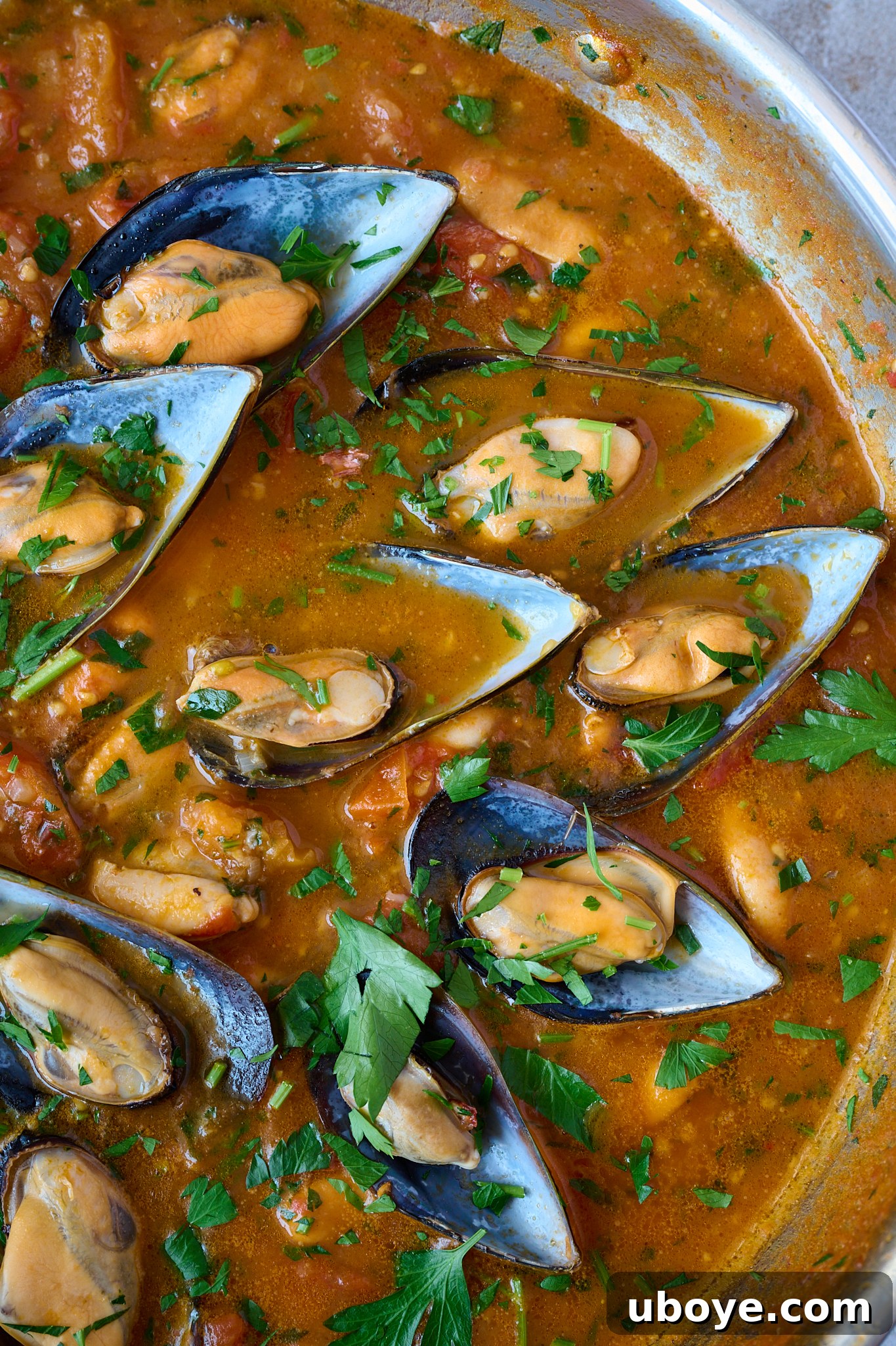 Close up image of cooked mussels in a tomato sauce with fresh parsley sprinkled all over. 