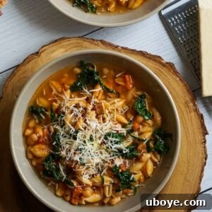 A bowl of Rustic Pasta e Fagioli soup, a hearty Italian dish with vegetables, beans, and pasta.