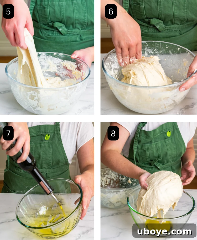Two images showcasing the stretch and fold method for dough development in a glass bowl. Followed by two images depicting olive oil being poured into a new glass bowl, and the dough being transferred into it, ready for the first proof.