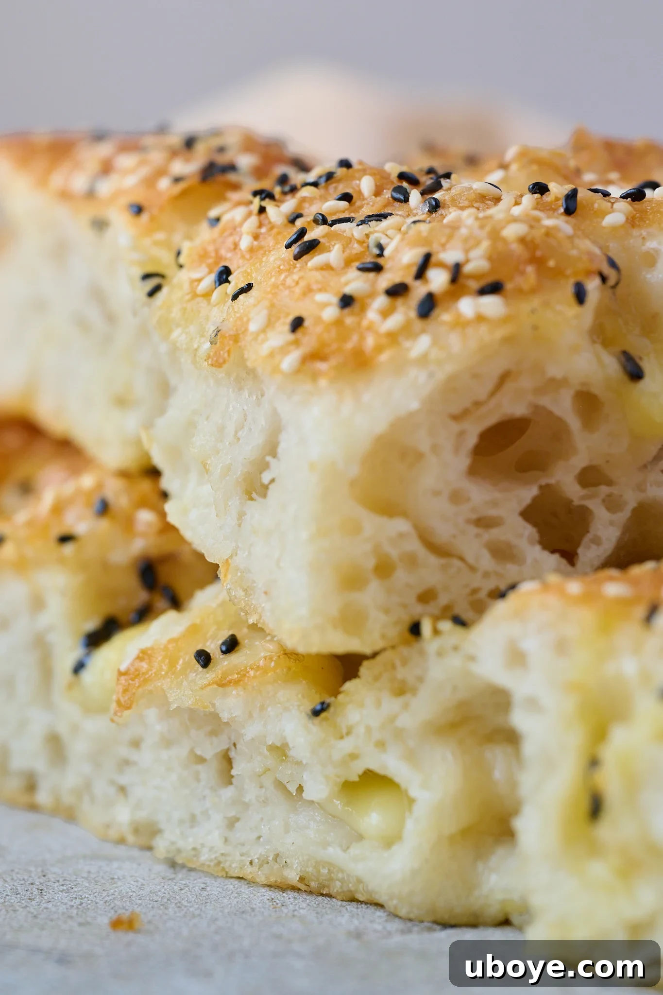 A slice of cheesy sesame seed focaccia, showing its fluffy interior and golden crust.