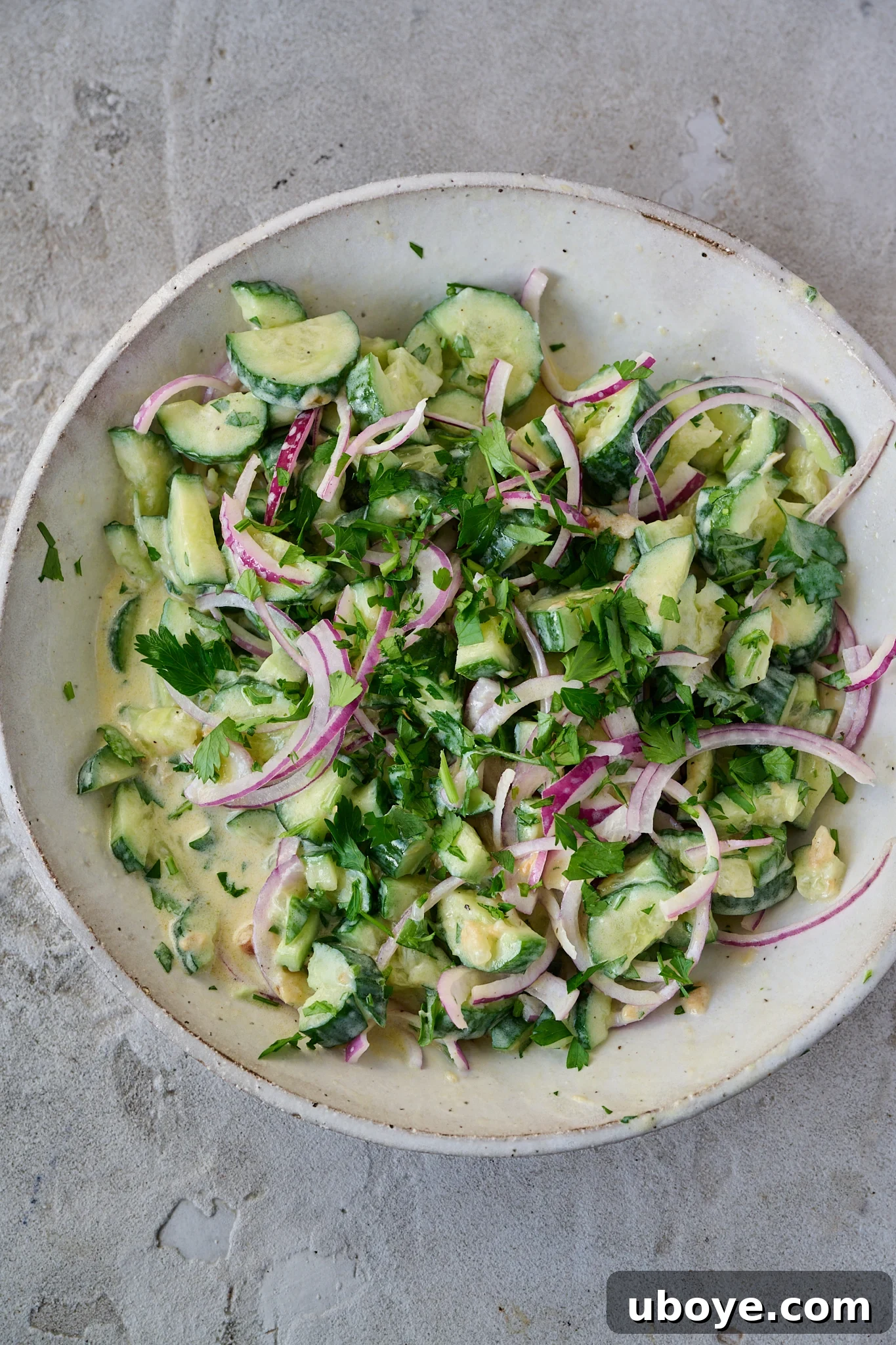 Zesty Greek Yogurt Cucumber Salad 6 Final creamy cucumber salad with Greek yogurt elegantly presented in a large white bowl.