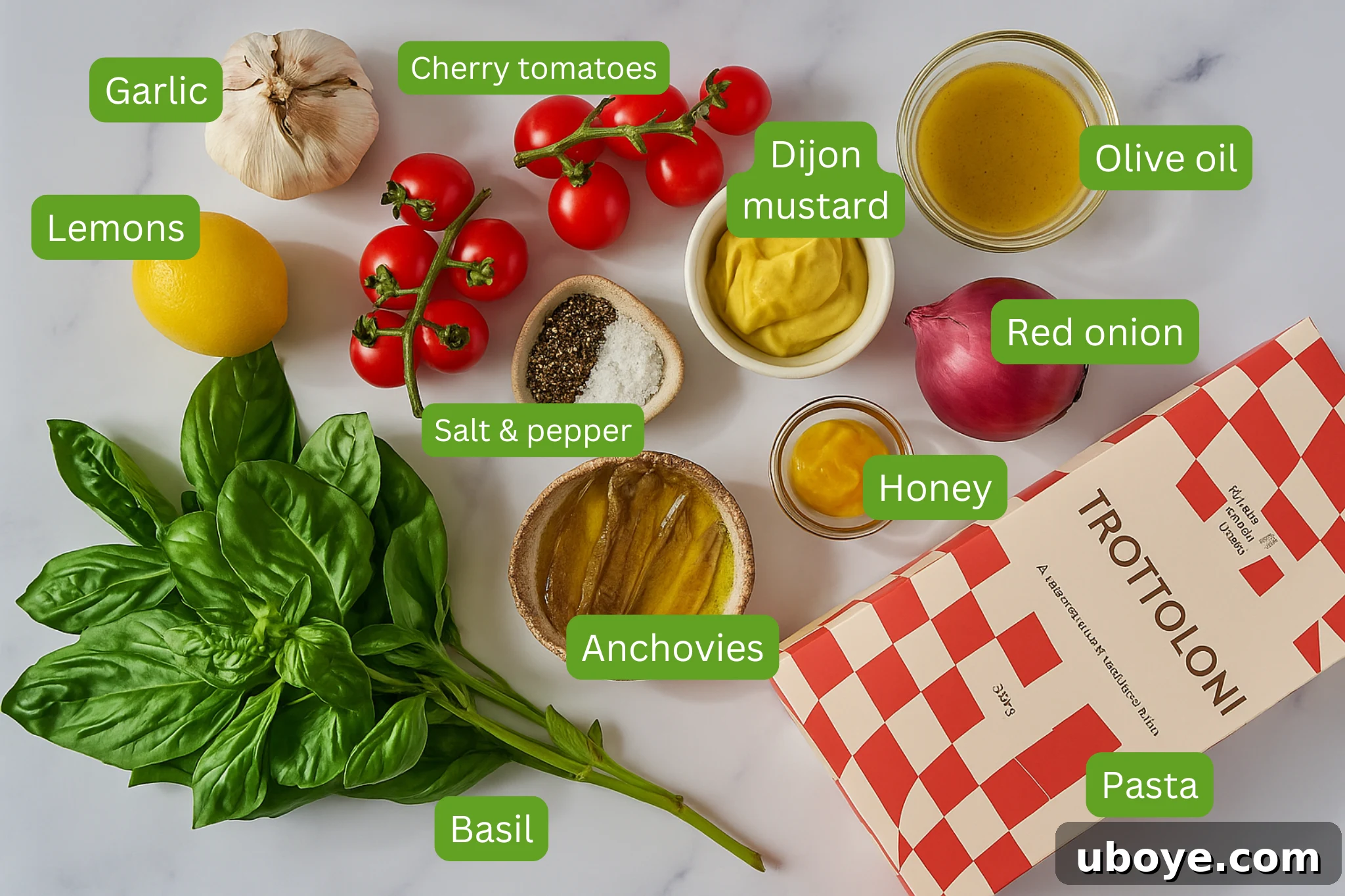 Ingredients for the pasta salad are shown including garlic, lemons, salt and pepper, cherry tomatoes, dijon mustard, red onion, olive oil, honey, anchovies, pasta.