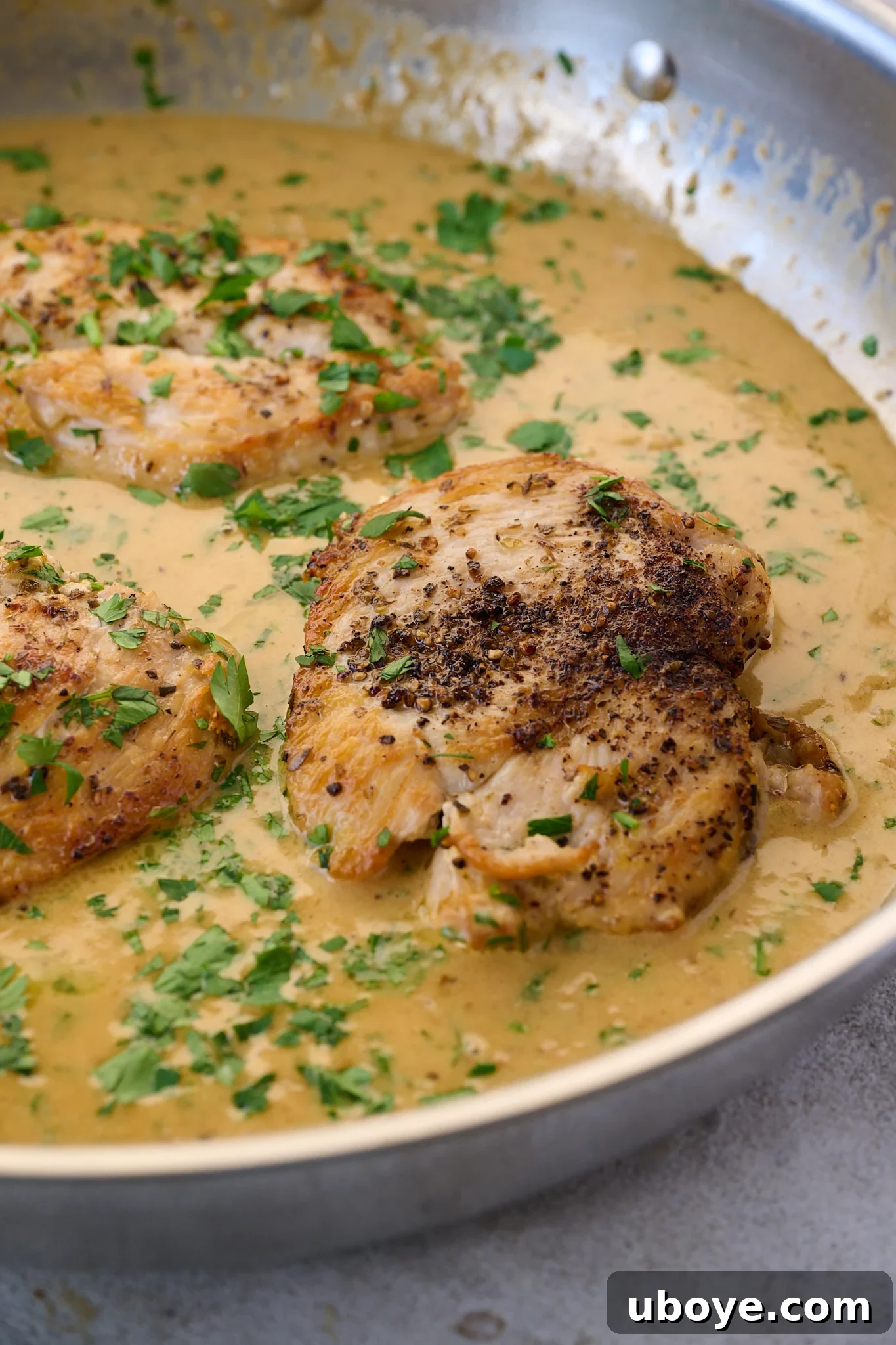 Creamy Garlic Parmesan Chicken sits in stainless steel pan with sauce all around it. Fresh parsley is sprinkled on top.