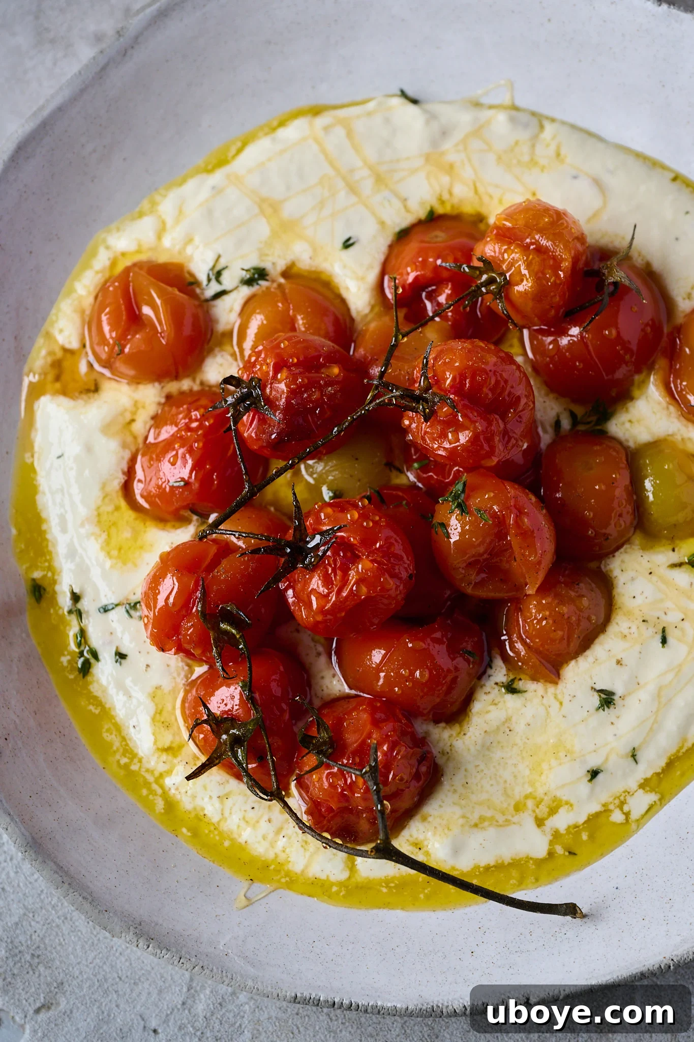 A large white serving platter beautifully arranged with a generous spread of whipped goat cheese, topped with roasted tomatoes, drizzled with honey, and garnished with fresh thyme, ready to be enjoyed.