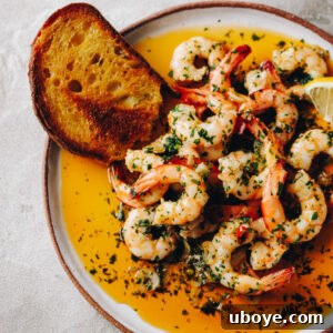 Spanish Garlic Shrimp (Prawns) - Gambas al Ajillo recipe image