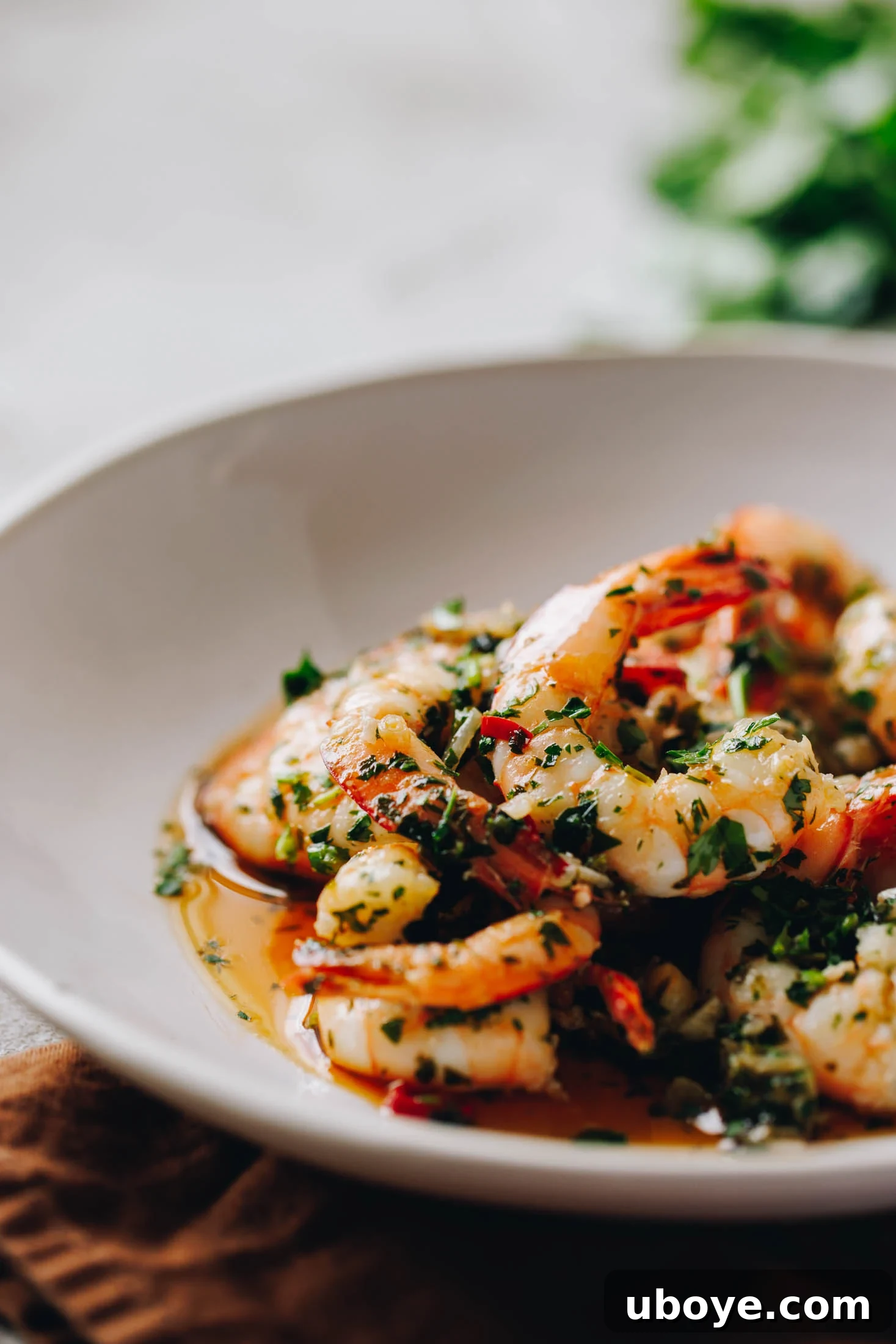 Finished Spanish Garlic Shrimp (Gambas al Ajillo) in a white bowl, ready to be served.
