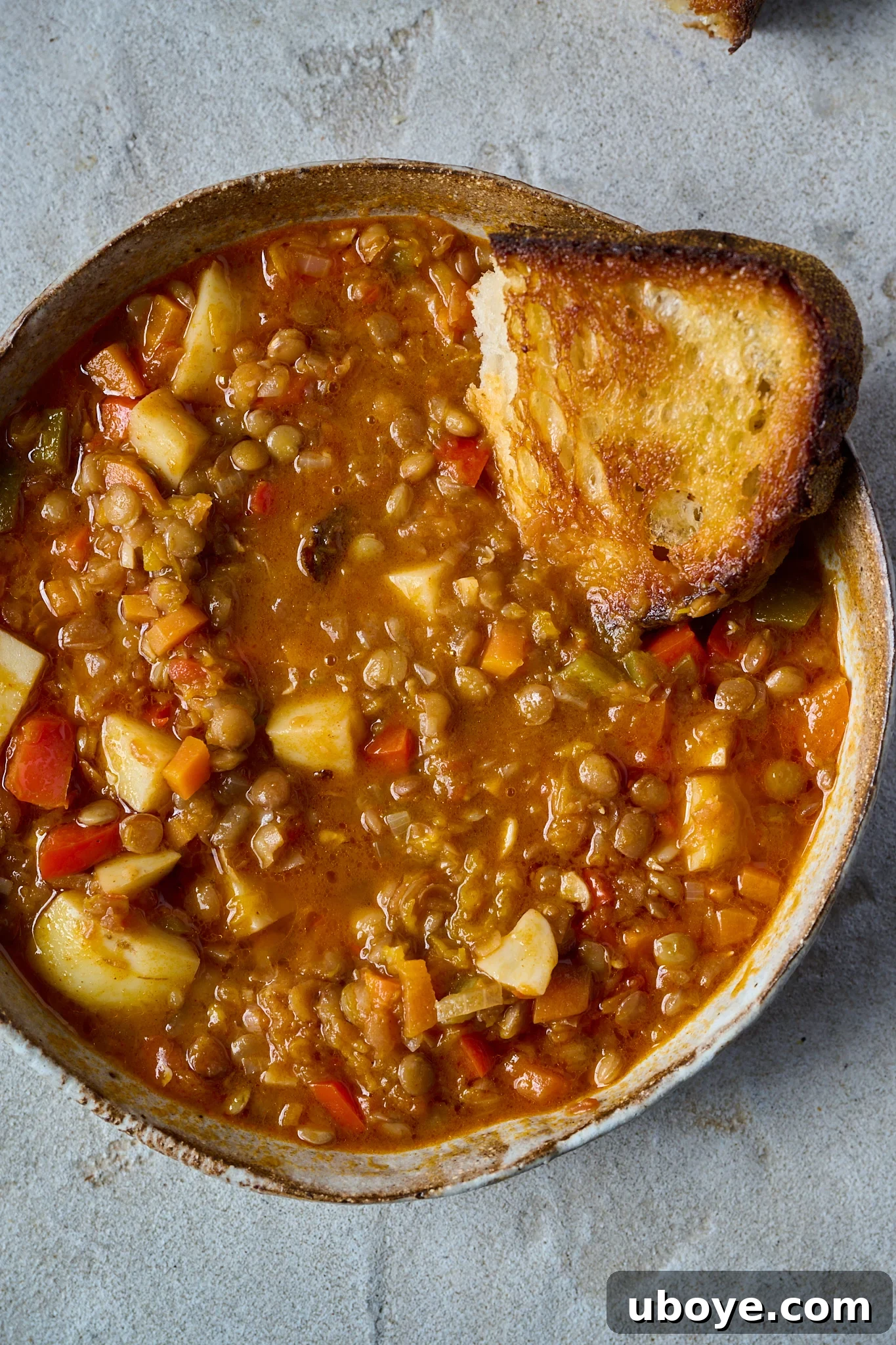 Authentic Vegan Lentejas: A Spanish Comfort Stew 2 A comforting bowl of Spanish Lentil Stew (Lentejas) with a piece of crusty bread, ready to be enjoyed.