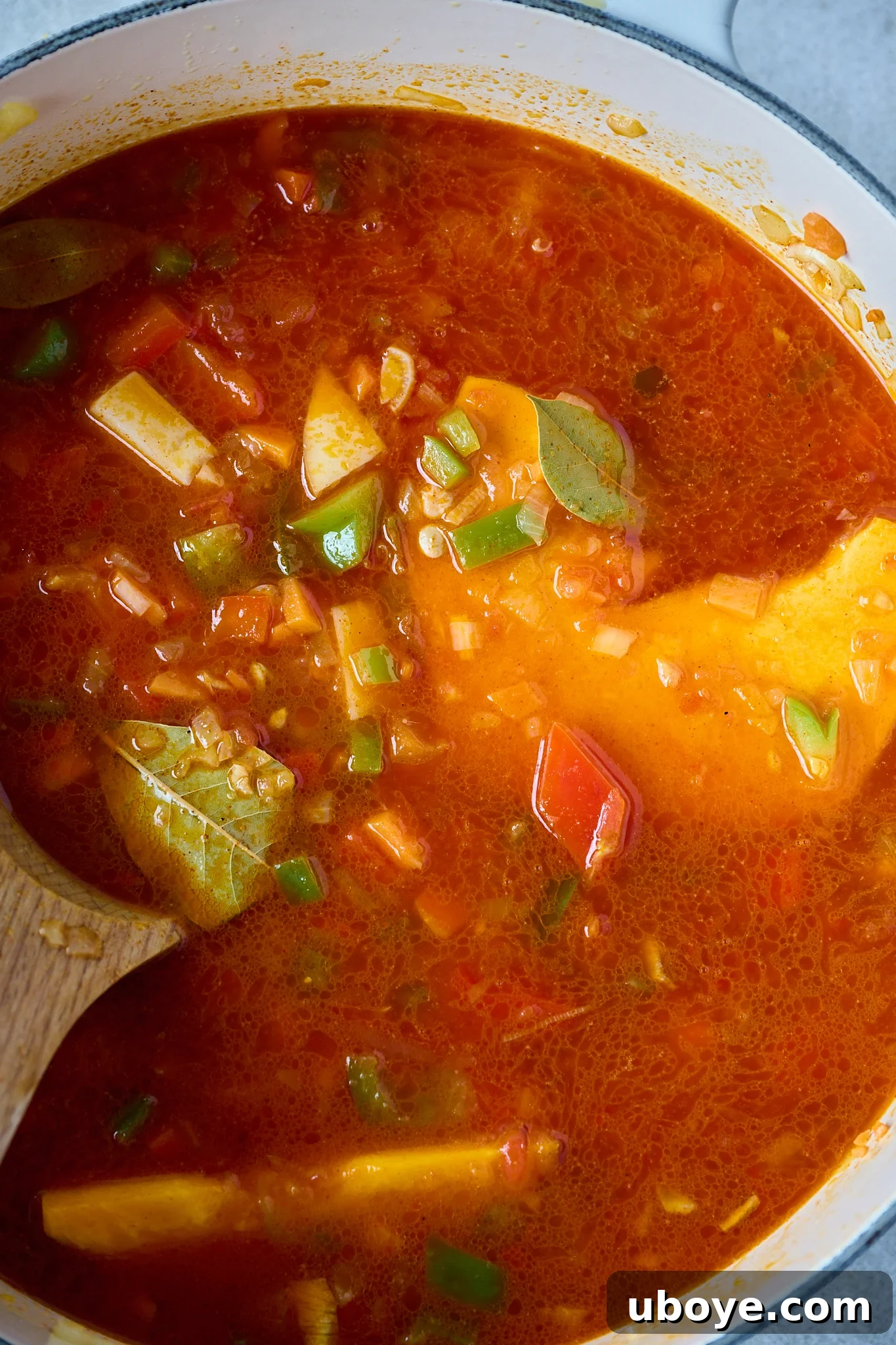 Authentic Vegan Lentejas: A Spanish Comfort Stew 7 All the stew ingredients — paprika, tomatoes, potatoes, pumpkin, lentils, vegetable broth, bay leaves, salt, and pepper — are combined in a large white pot before cooking.