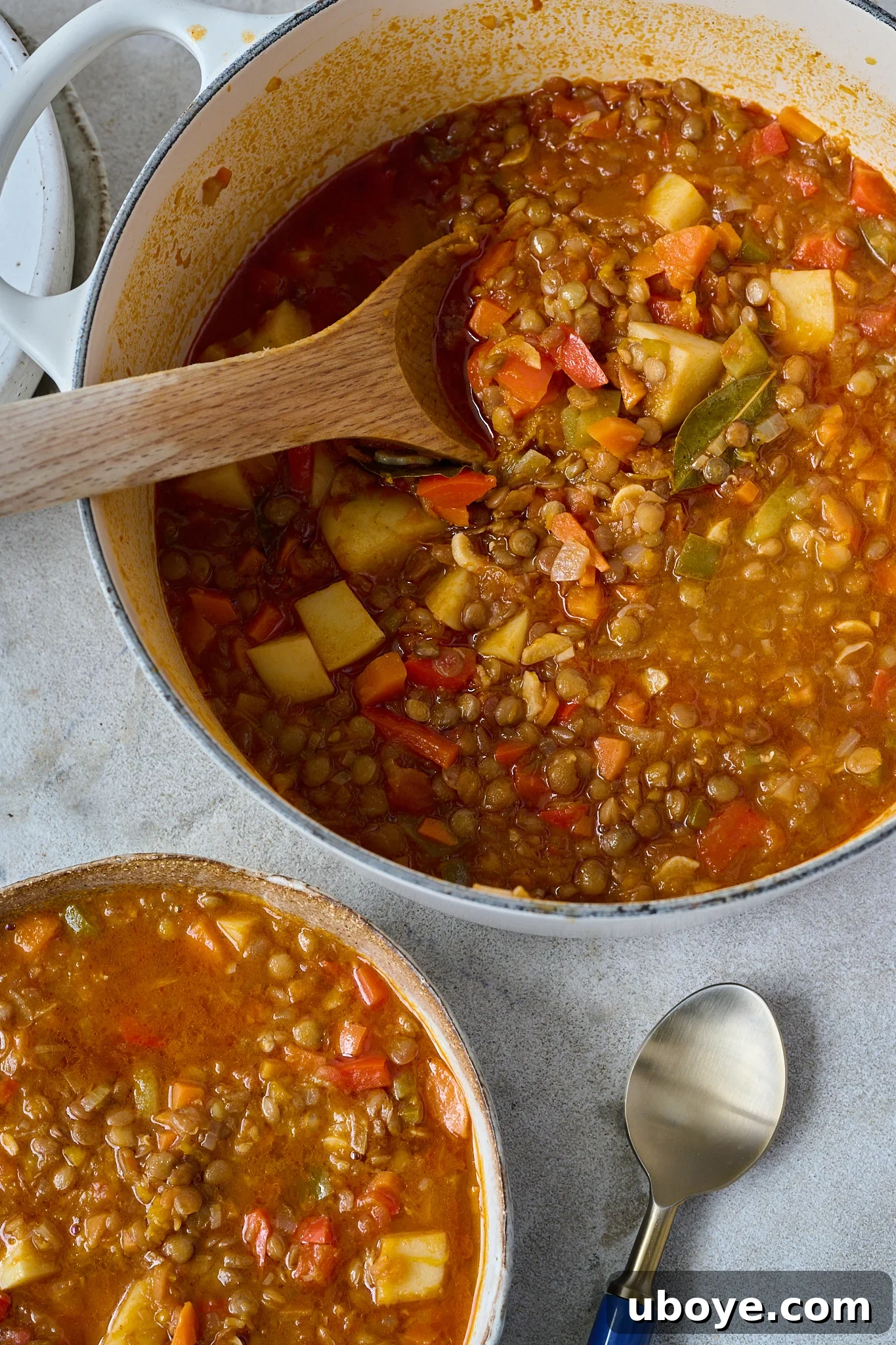 Authentic Vegan Lentejas: A Spanish Comfort Stew 8 The Spanish Lentil Stew (Lentejas) is fully cooked and sits in a large white pot with a brown spoon. A smaller brown bowl of the finished soup is also visible.