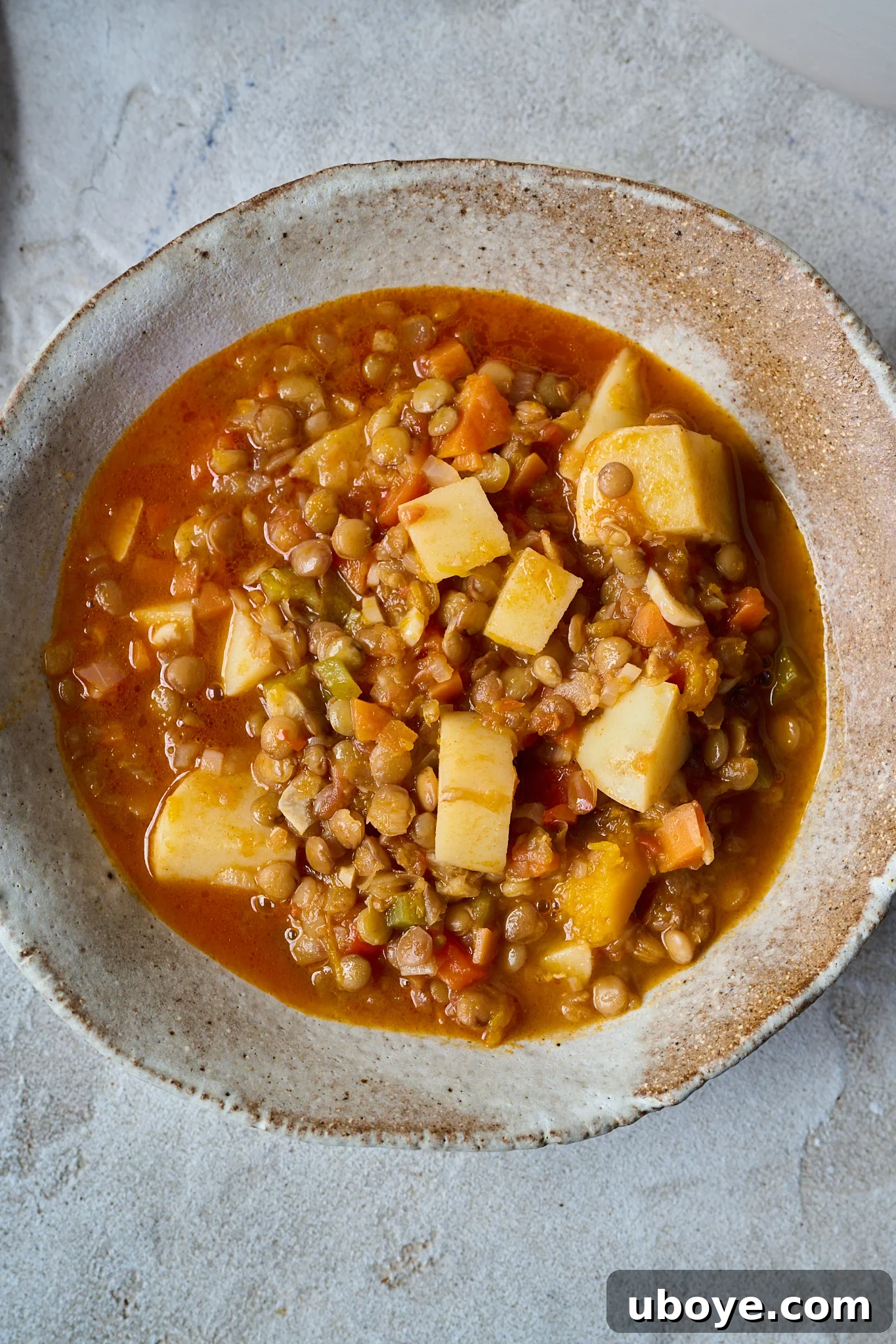 Authentic Vegan Lentejas: A Spanish Comfort Stew 9 A smaller, inviting brown bowl filled with the rich and hearty Spanish Lentil Stew (Lentejas).