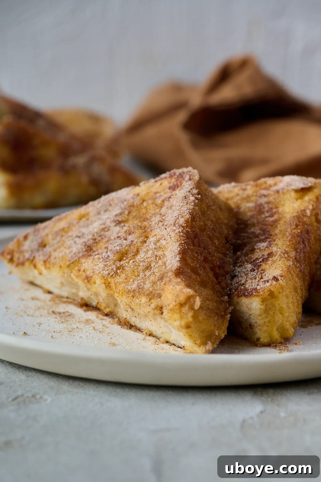 Torrijas Spain's Beloved French Toast 2 Two golden-brown slices of Torrijas (Spanish French Toast) beautifully arranged on a white plate, lavishly dusted with cinnamon sugar, highlighting their crispy texture and delicious appeal.