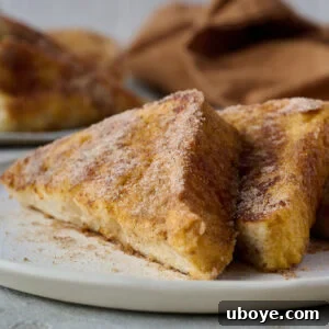 A perfectly golden Torrijas slice, dusted with cinnamon sugar, ready to be enjoyed.