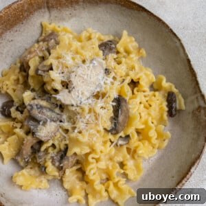 Creamy mushroom pasta with garlic confit.