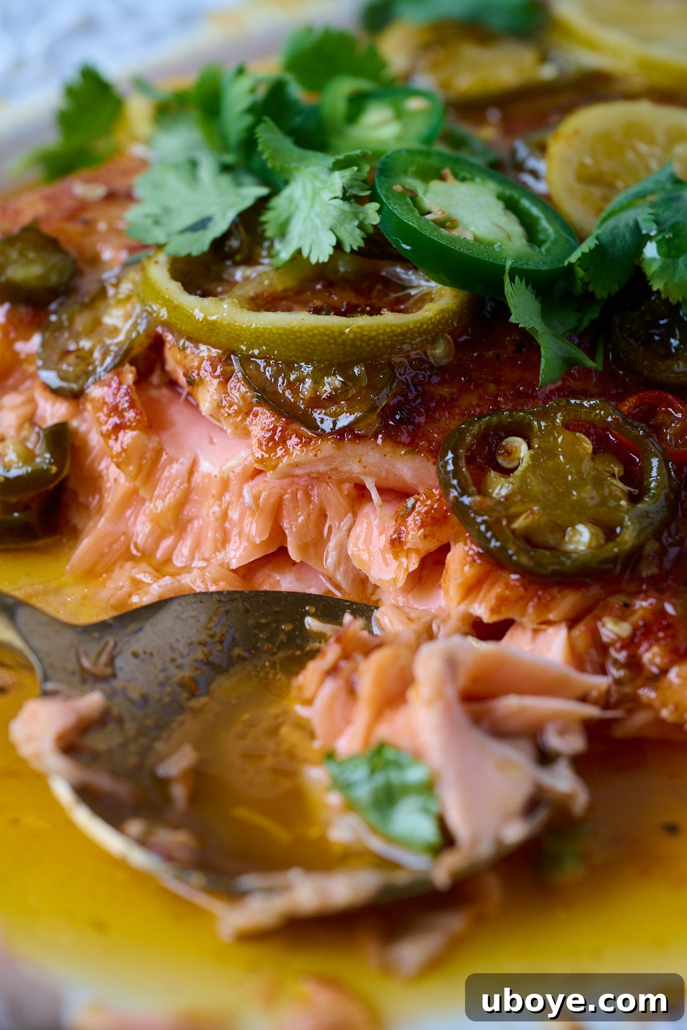 Honey-Chili Slow Roasted Salmon 10 A large piece of hot honey roasted salmon has been delicately scooped out with a golden spoon, revealing its flaky, tender interior, glistening with sauce.