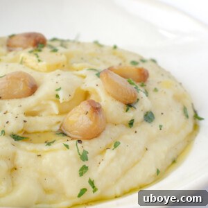 Creamy garlic mashed potatoes, served in a bowl.