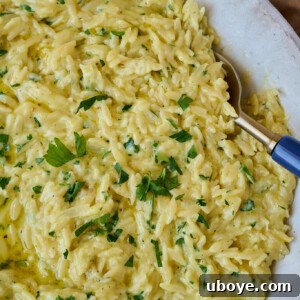 Creamy garlic one pan orzo, a complete meal.