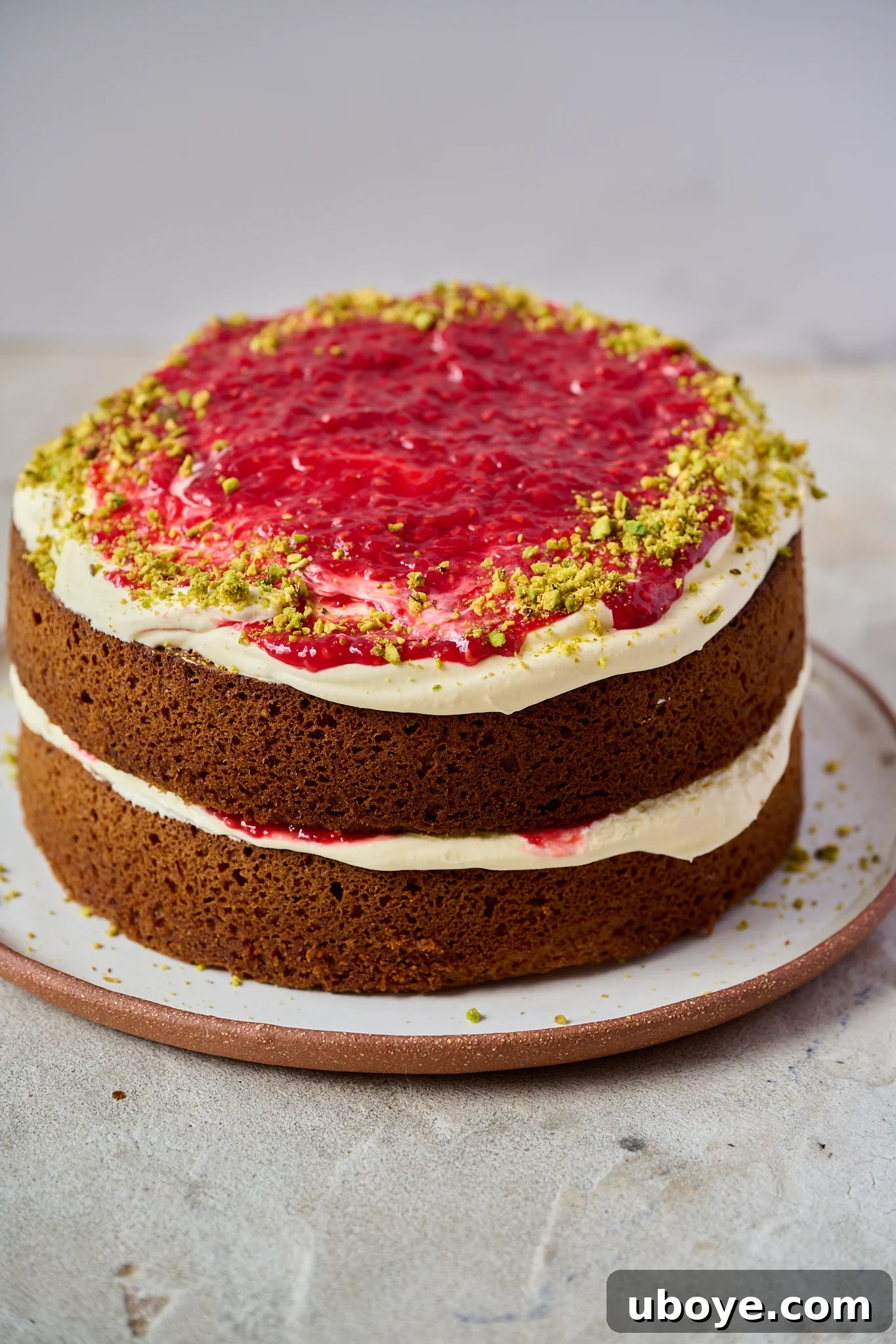 Velvet Olive Oil Cake with Pistachio, Raspberry and White Chocolate 8 An assembled White Chocolate, Pistachio & Raspberry Olive Oil Cake slice on a white plate with a subtle brown rim, highlighting the layers of cake, whipped cream, and raspberry jam.
