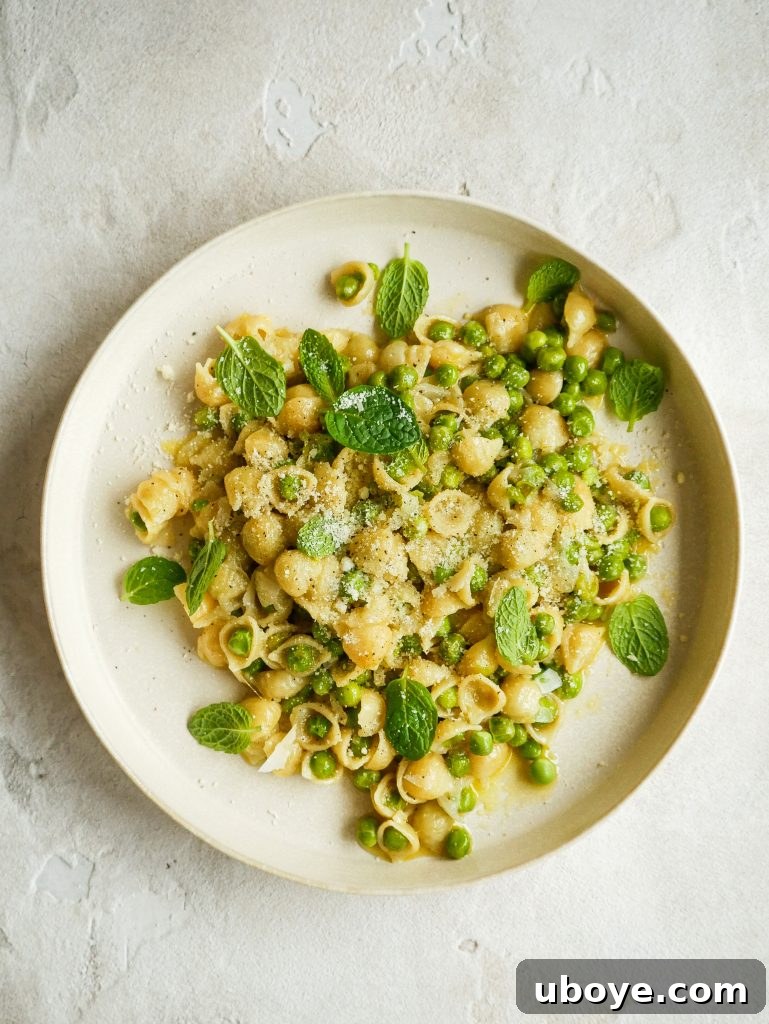 Spring Pea Pasta 2 A vibrant bowl of freshly made Pasta e Piselli, showcasing small shell pasta, bright green peas, and a rich, creamy sauce, garnished with fresh mint and grated cheese.