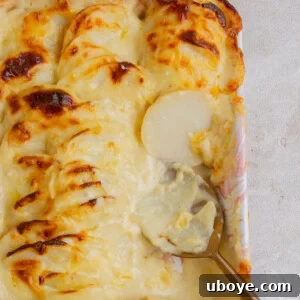 Cheesy Potato Bake, an easy, cheesy, carby, and delicious side dish