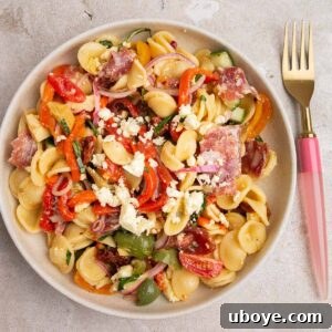 Rainbow Antipasto Pasta Salad, bursting with colorful veggies, olives, feta, salami, and garlic confit dressing