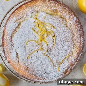 Lemon Olive Oil Cake, one of the sweetest, moistest, and most delicate cakes you'll ever bake