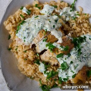 One Pan Chicken & Garlicky Rice