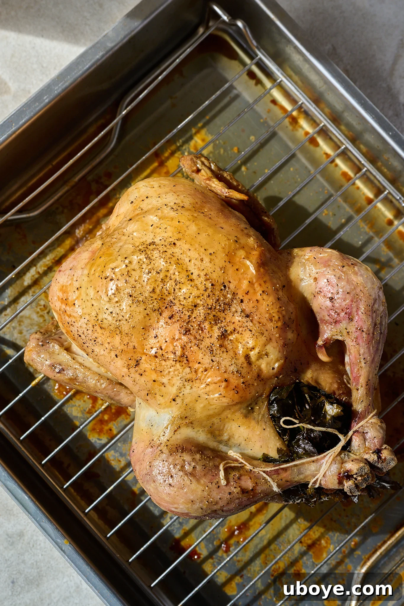 Golden Chicken & Fragrant Garlic Rice Skillet 6 Whole chicken is cooked and sitting on baking rack.