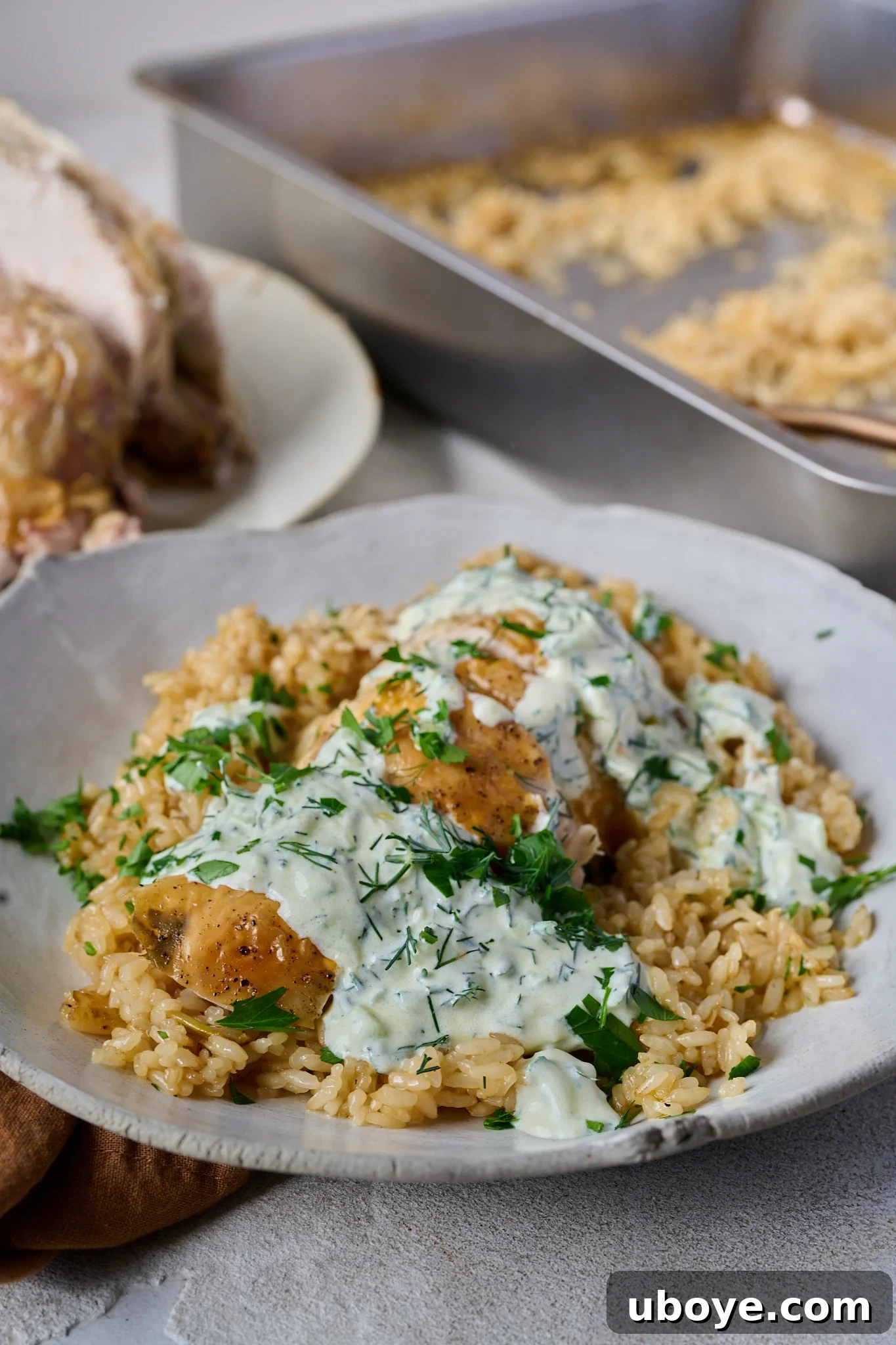 Golden Chicken & Fragrant Garlic Rice Skillet 8 One pan chicken and garlic rice is in a bowl. Chicken is sliced and is sitting on a bed of rice with yoghurt sauce and herbs sprinkled all over.