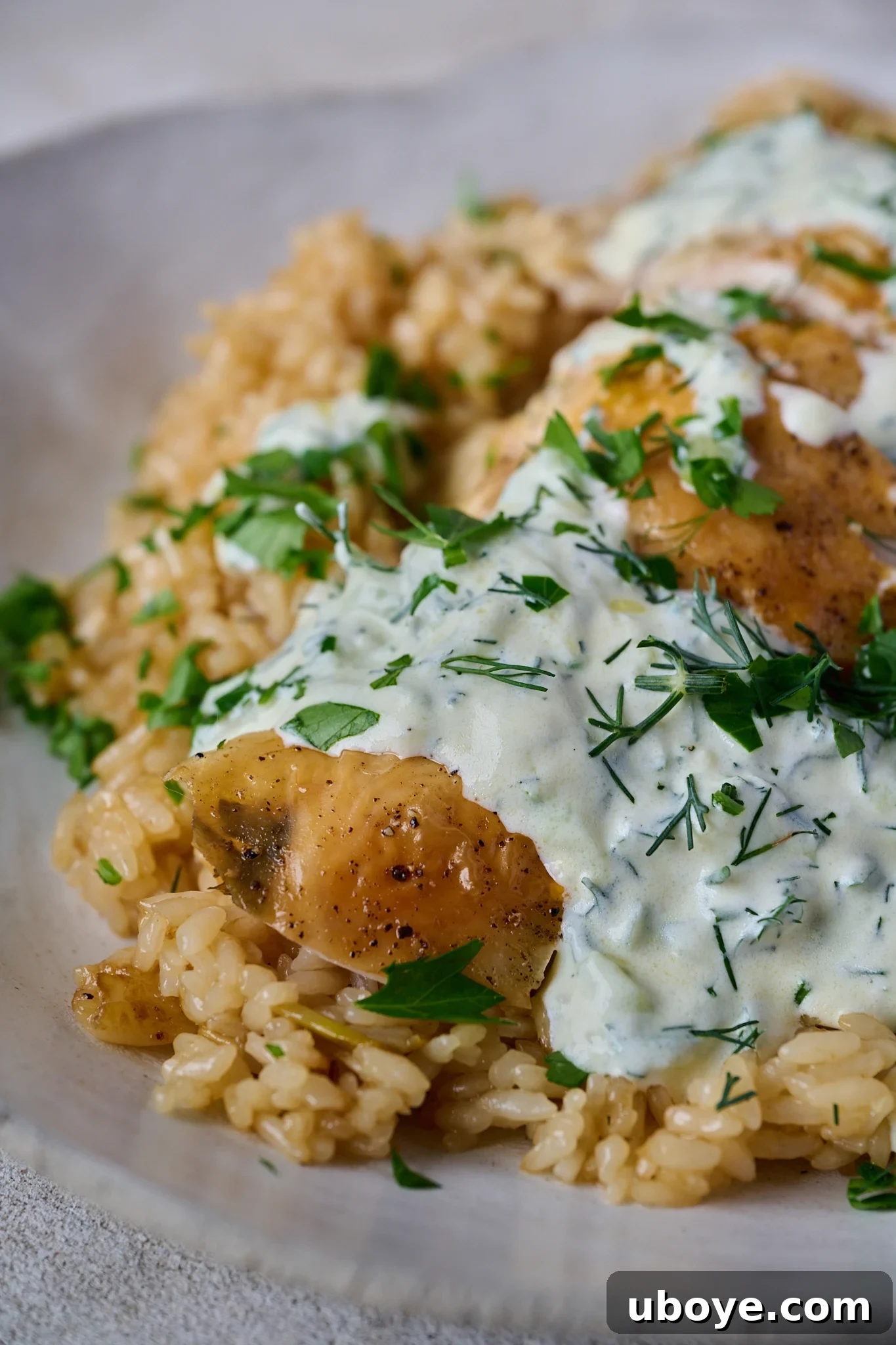 Golden Chicken & Fragrant Garlic Rice Skillet 9 One pan chicken and garlic rice is in a bowl. Chicken is sliced and is sitting on a bed of rice with yoghurt sauce and herbs sprinkled all over.